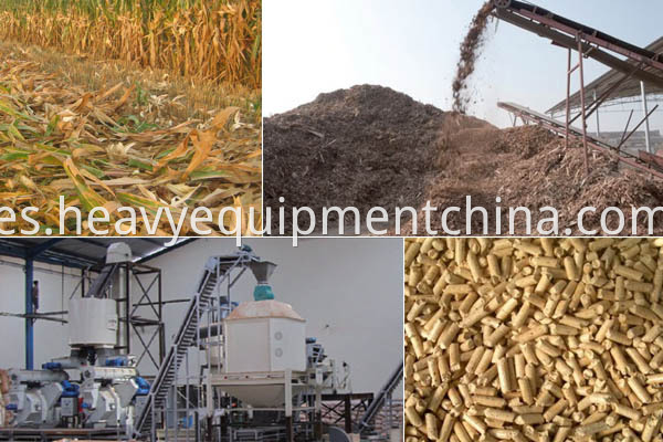 Rice Husk Pellet Plant